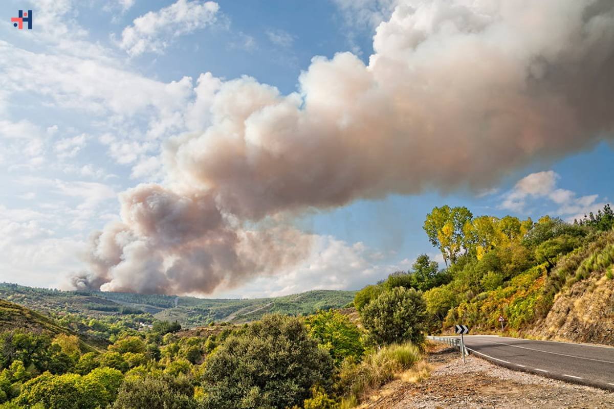 Breathing Easy: 4 Essential Tips for Maintaining Respiratory Health During Haboobs and Wildfires | Healthcare 360 Magazine