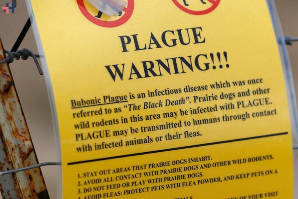Bubonic Plague Case Confirmed in Oregon: Health Officials on Alert | Healthcare 360 Magazine