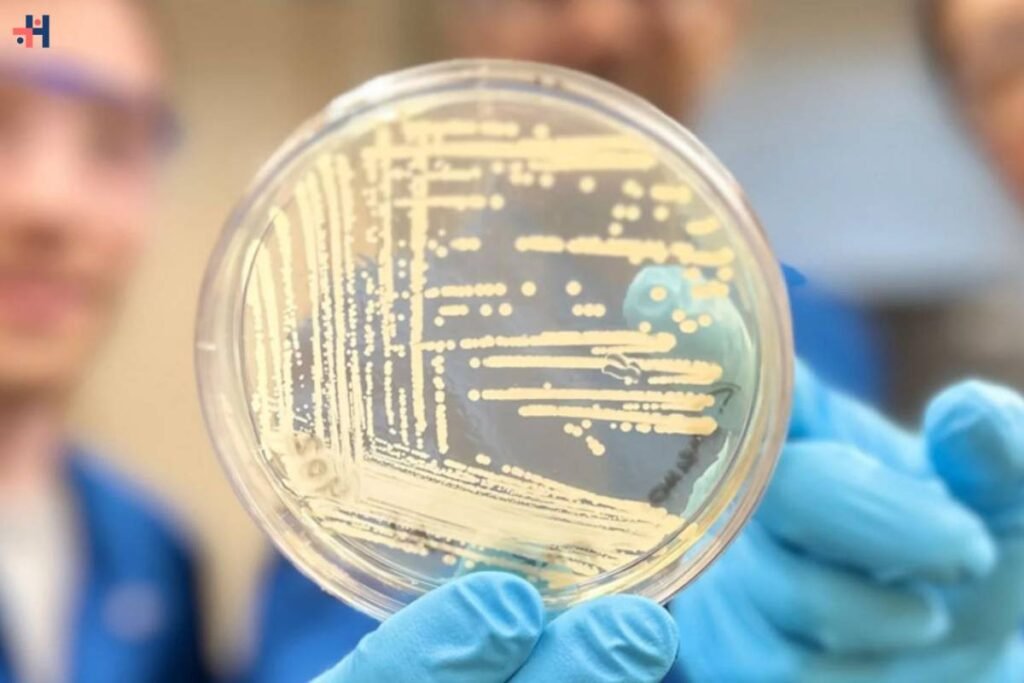 Breakthrough Discovery: New Synthetic Compound Targets Superbugs | Healthcare 360 Magazine
