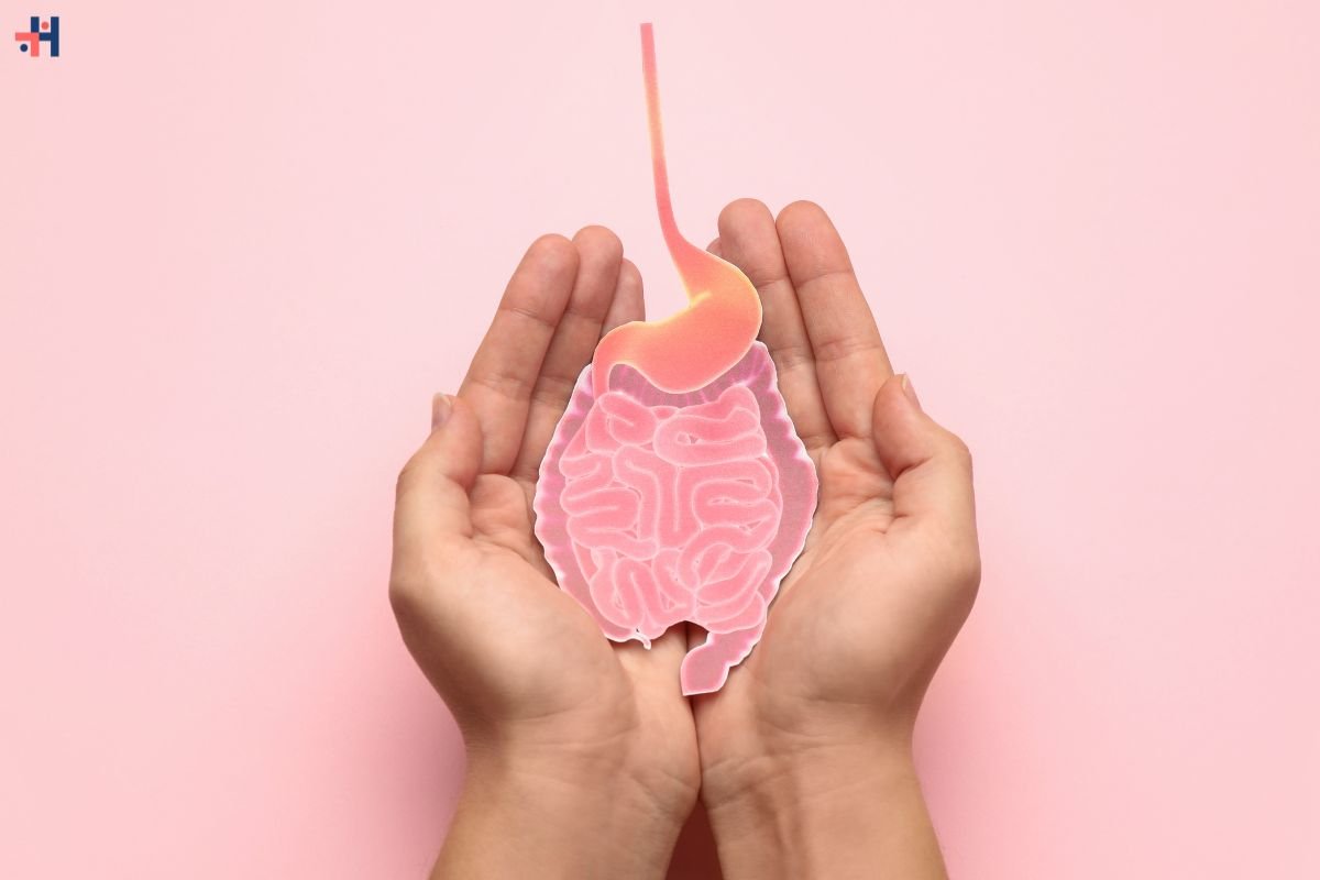 The Transformative Power of Gut Health and the Microbiome | Healthcare 360 Magazine