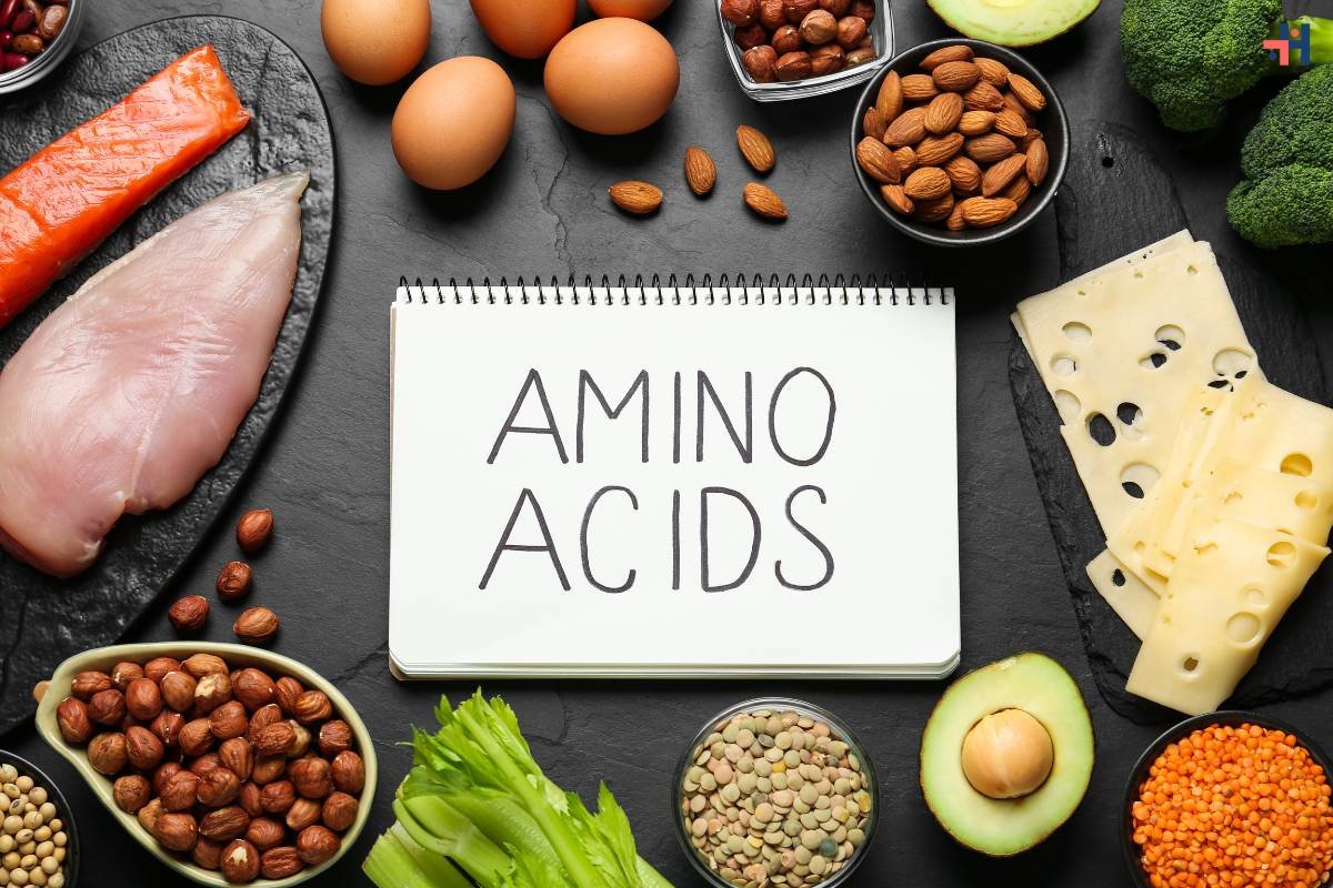 Understanding the Classification of Amino Acids: A Comprehensive Guide | Healthcare 360 Magazine
