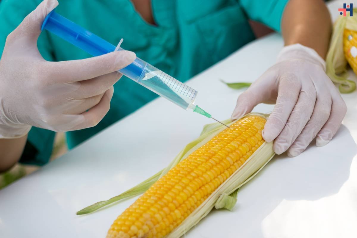 Food Genetic Engineering: A Deep Dive into Advancements, Concerns, and Future Implications | Healthcare 360 Magazine