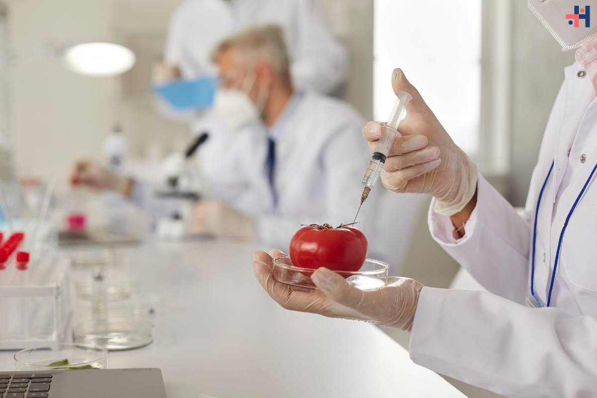 Food Genetic Engineering: A Deep Dive into Advancements, Concerns, and Future Implications | Healthcare 360 Magazinehttps://www.opentohope.com/write-for-open-to-hope/ https://creately.com/blog/write-for-us/ https://goodmenproject.submittable.com/ https://cyberchimps.com/write-for-us/ https://creativemarketsurvey.wufoo.com/forms/write-for-the-creative-market-blog/ https://www.searchenginewatch.com/submit-an-article/ https://everydaypower.com/write-for-us/ https://fearlessflyer.com/submit-post/ https://siliconangle.com/ https://www.androidguys.com/jobs/ https://www.business-opportunities.biz/sponsored-article/ https://insteading.com/write-for-us/ https://lwosinc.com/apply/ https://leavingworkbehind.com/guest-post/ https://www.themogulmom.com/contribute/ https://www.womenonbusiness.com/write-for-women-on-business/submit-a-guest-post/ https://blog.mycorporation.com/become-author-mycorporation/ https://nethunt.com/blog/write-for-us/