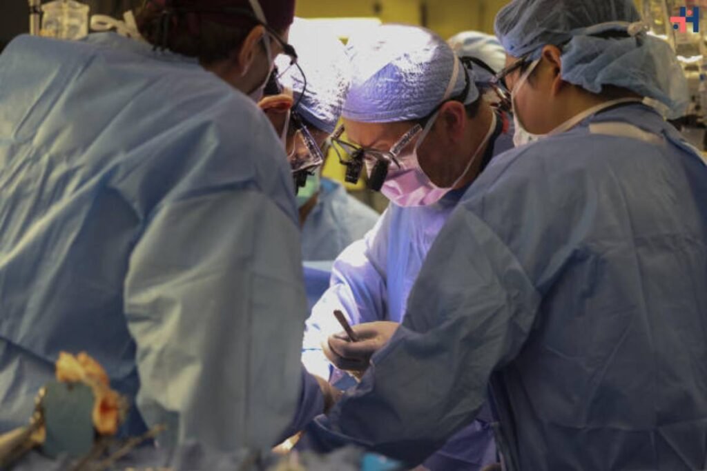 Human Receives First-Ever Pig Kidney Transplant | Healthcare 360 Magazine