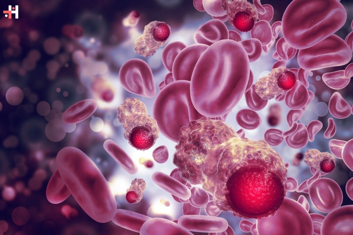 In-Depth Exploration of the Various Types of Cells in Blood | Healthcare 360 Magazine