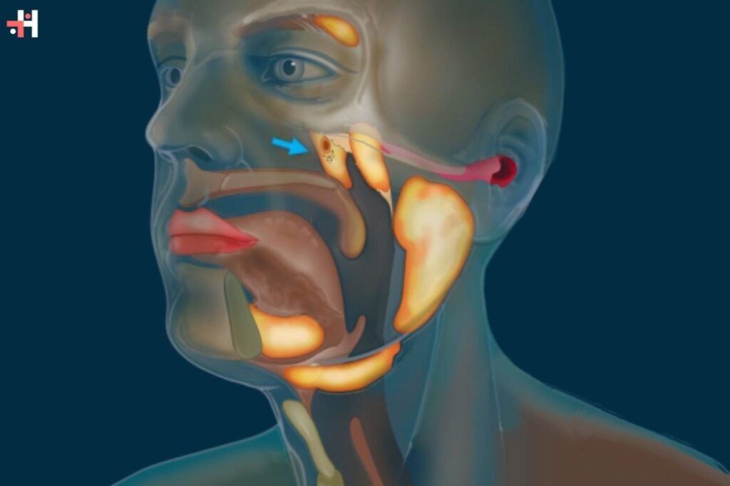 Tubarial Salivary Gland: New Organ Discovered in Human Body | Healthcare 360 Magazine
