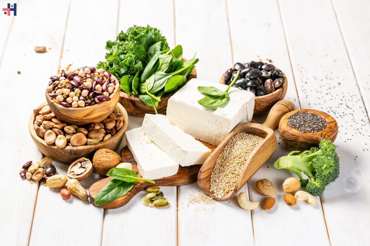 Protein Sources: A Guide to Optimizing Your Diet