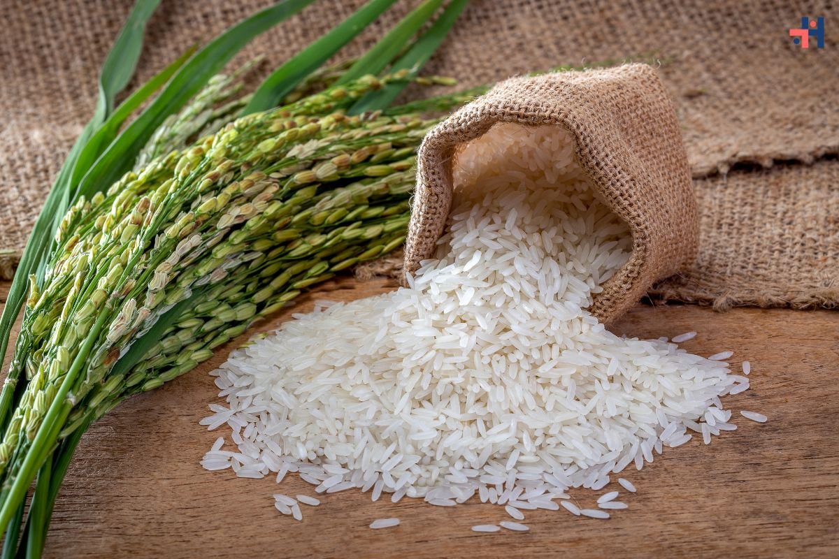 Brown Rice vs. White Rice: Unraveling the Nutritional Debate | Healthcare 360 Magazine