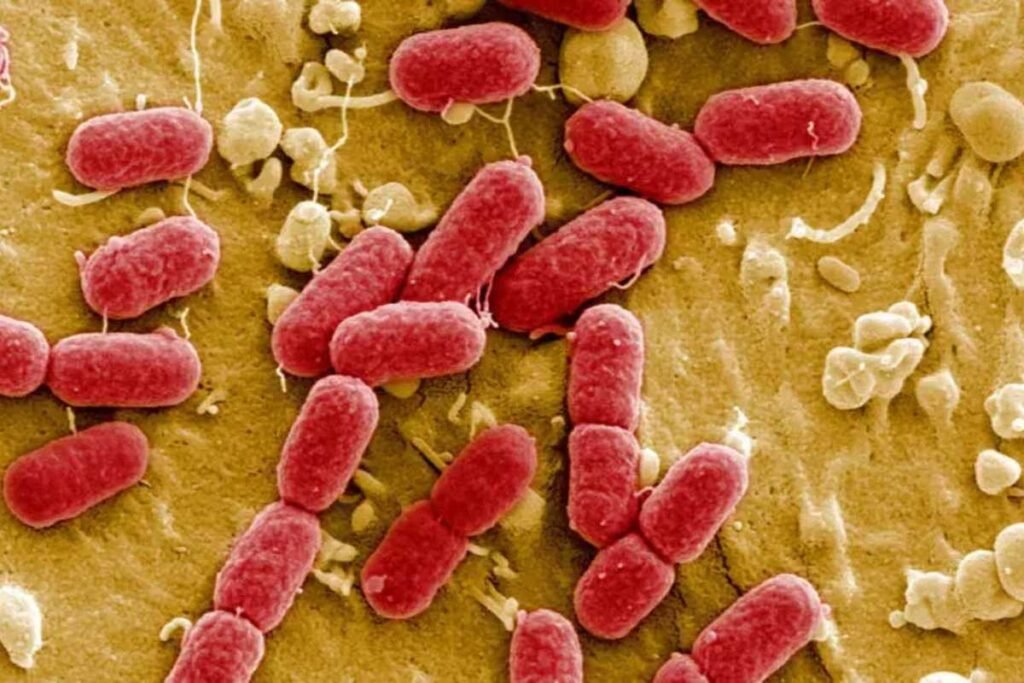 Antimicrobial Resistance: Superbugs Could Kill 39 Million by 2050 | Healthcare 360 Magazine