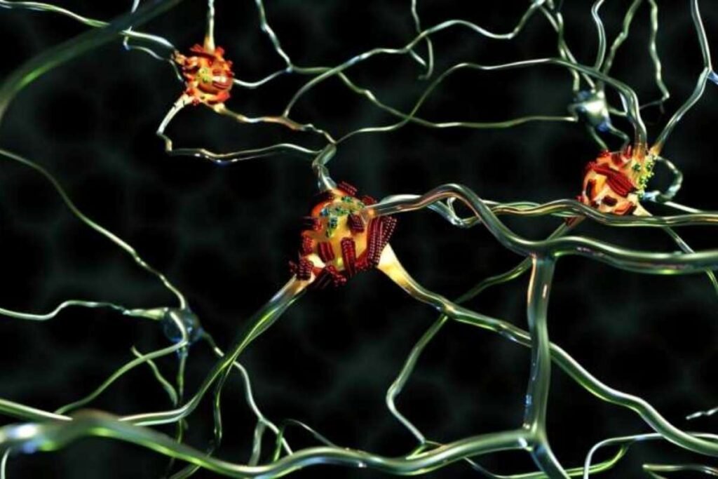 “Superspreader” Fibrils in Alzheimer’s Offers Insight | Healthcare 360 Magazine