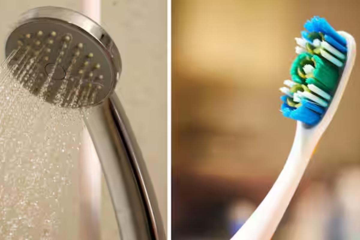 Your Showerhead and Toothbrush Are Full of Viruses – But They Could Be Life-Savers