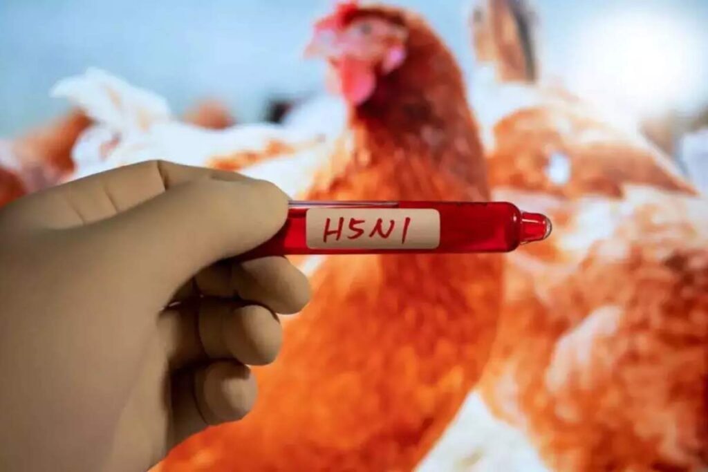 Bird Flu as H5N1: Washington State Reports New Cases | Healthcare 360 Magazine