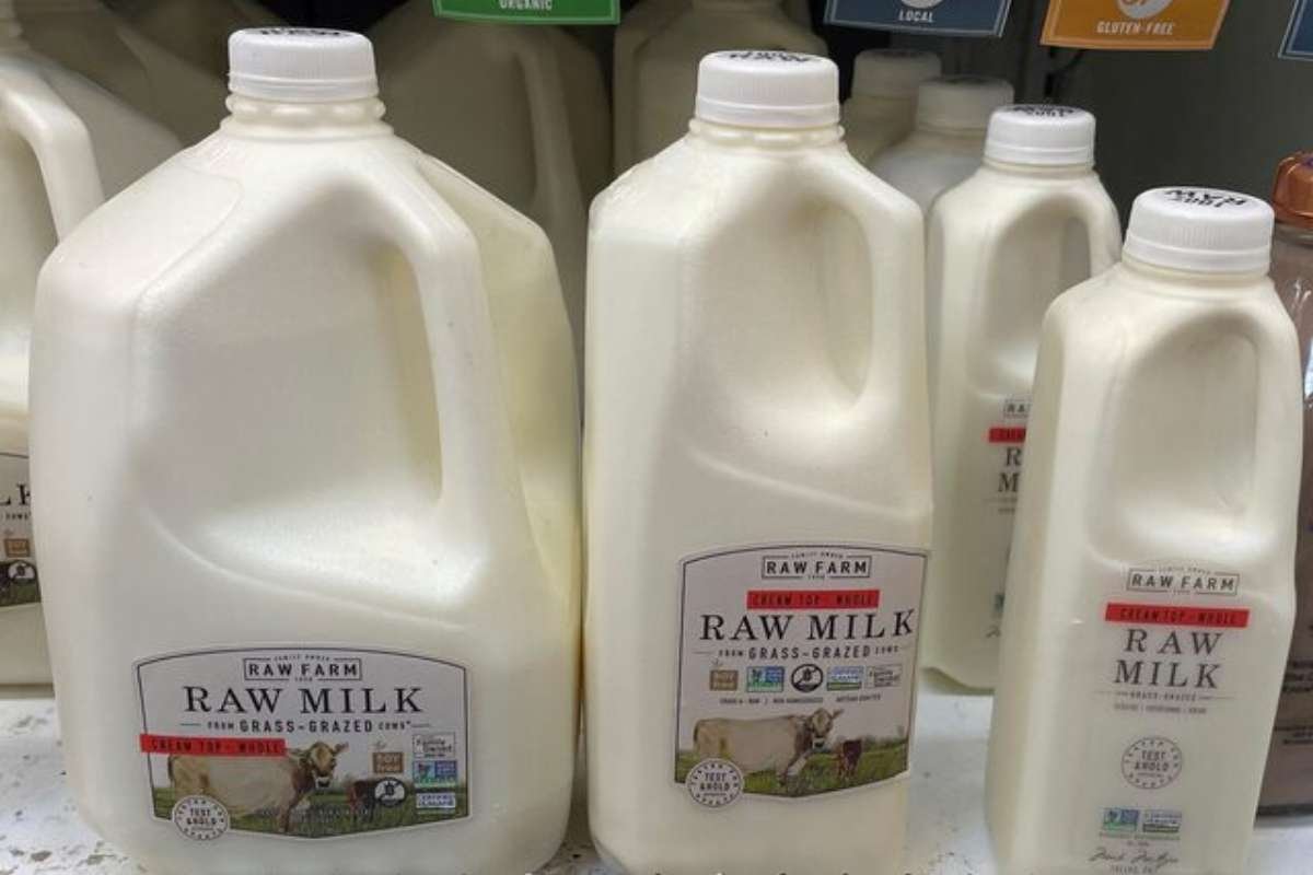 Bird Flu Virus Detected in Raw Milk from California Dairy Farm