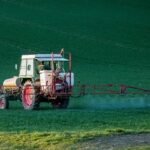 Prostate Cancer Risk Linked to 20+ Pesticides: Key Foods and Findings