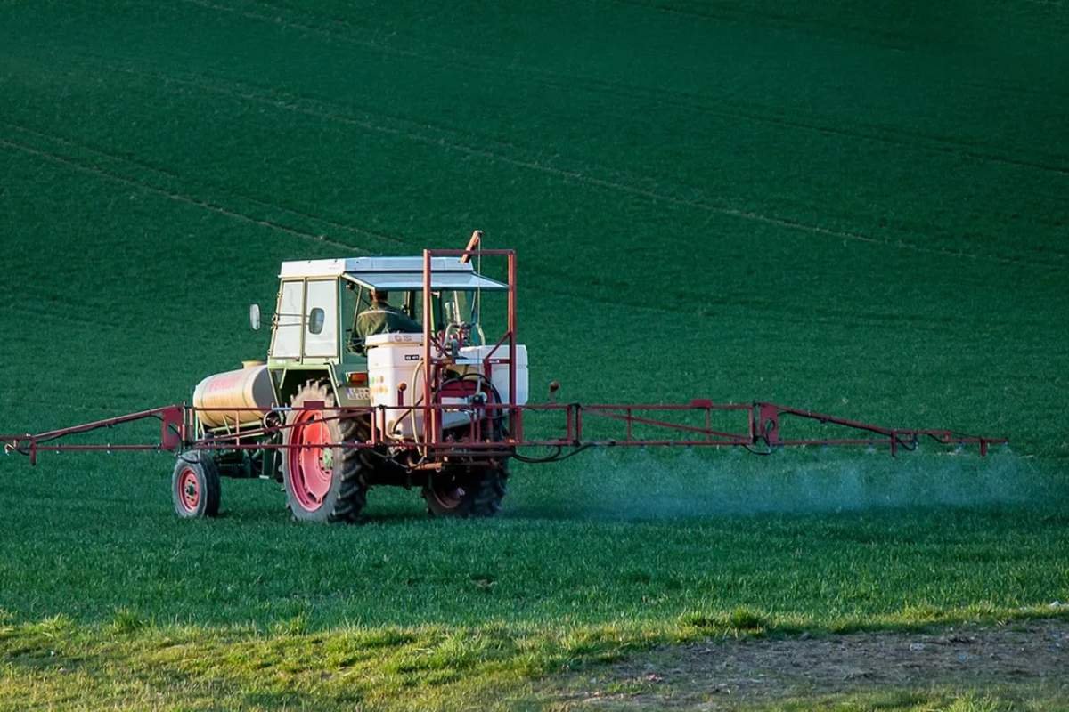 Prostate Cancer Risk Linked to 20+ Pesticides: Key Foods and Findings