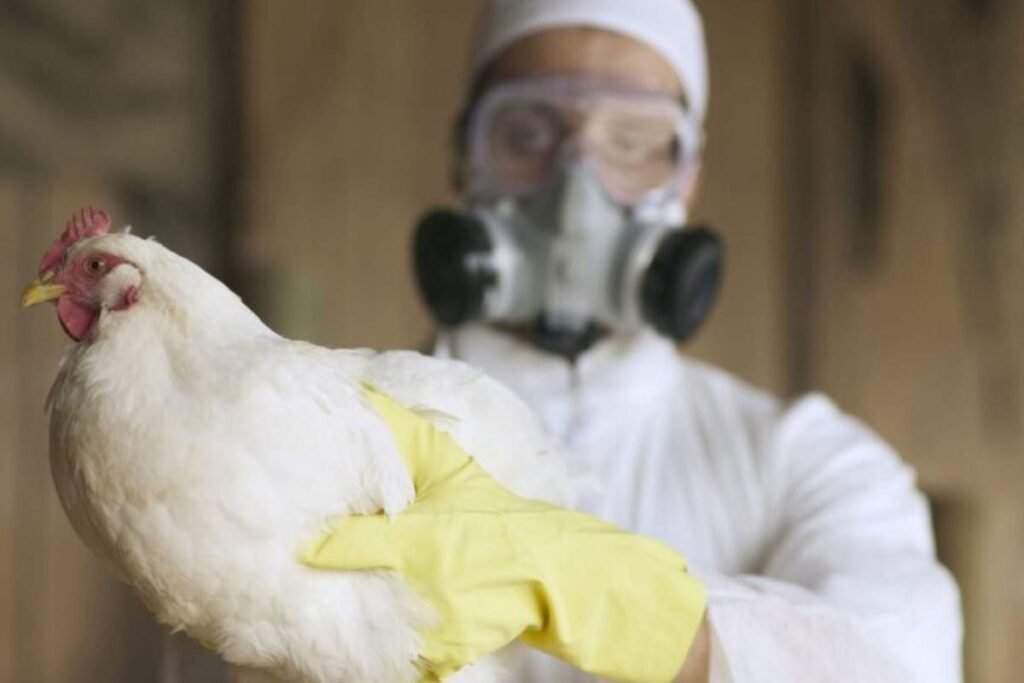 British Columbia Teen Hospitalized with Suspected Bird Flu | Healthcare 360 Magazine