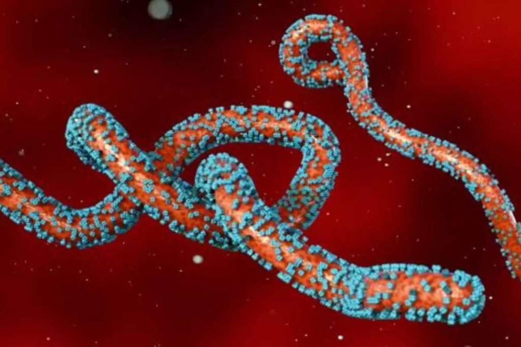 Marburg Virus Disease Outbreak : Rwanda Sparks Global Concern | Healthcare 360 Magazine