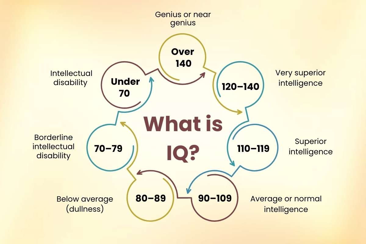 Average IQ for Doctors: What It Really Takes to Be in Medicine ? | Healthcare 360 Magazine