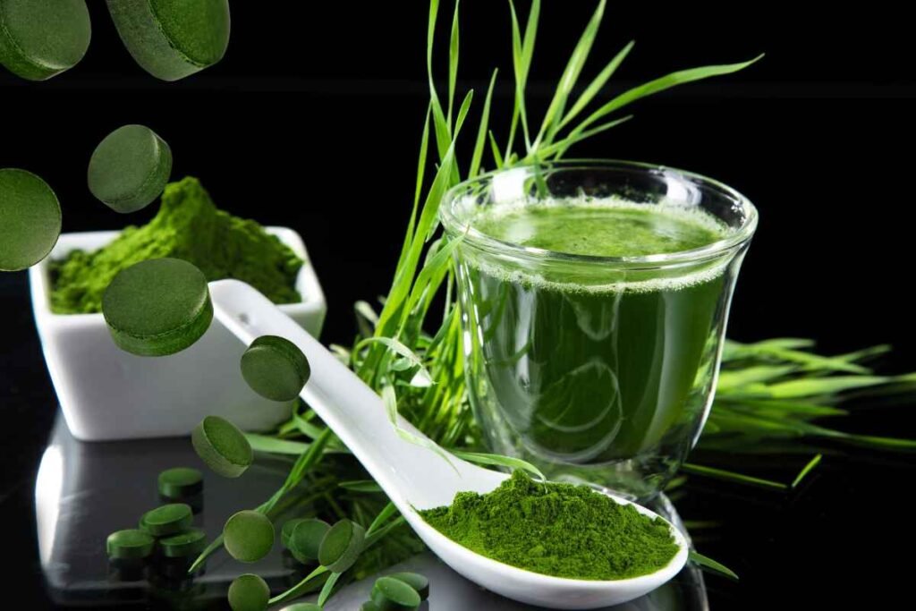 Chlorella: The Rising Superfood Packed with Nutrients and Sustainability