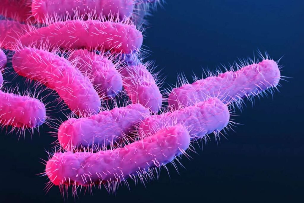 Cases of Shigella Outbreak in Multnomah County | Healthcare 360 Magazine