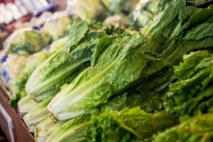 E. Coli Outbreak Linked to Romaine Lettuce Sickens in 15 State | Healthcare 360 Magazine