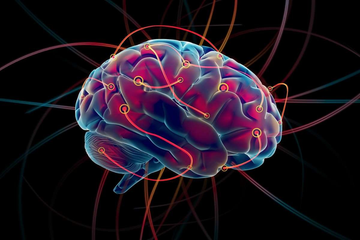 Scientists Uncover Brain’s Unique Mechanism for Switching Actions