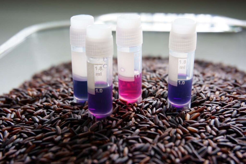 Dietitians Reveal 5 Foods Richer in Anthocyanins Than Blueberries