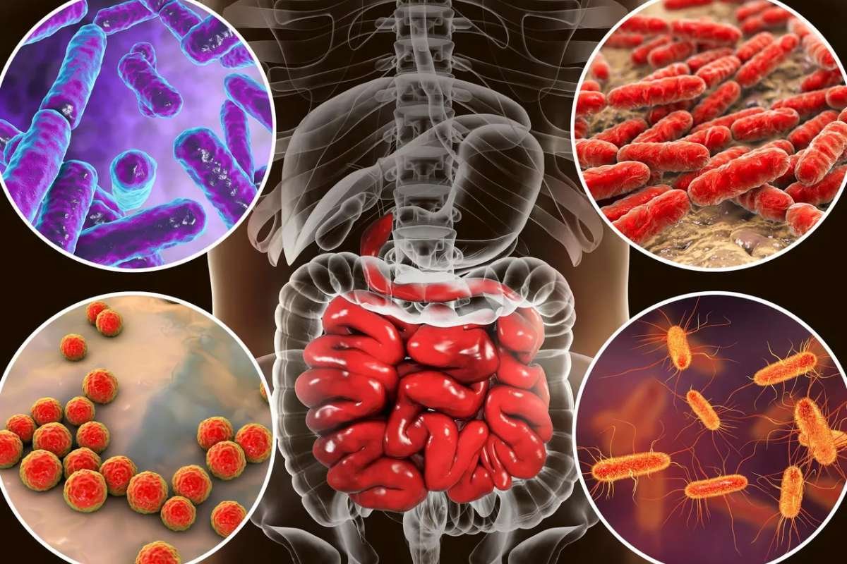 Gut Bacteria and Pollution May Be Fueling Depression, Harvard Study Reveals