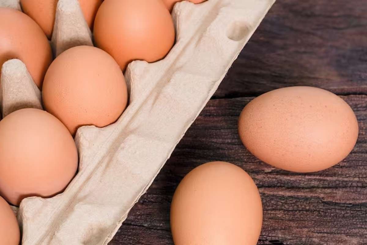 Salmonella Outbreak Linked to Recalled Eggs Sickens Over 70 in Seven States