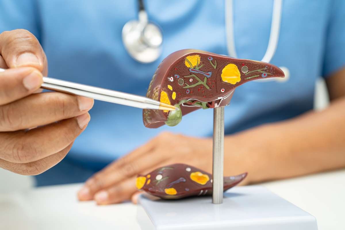 Alcohol's Effects on the Body: Why Alcohol Is Slowly Turning Against Your Body?