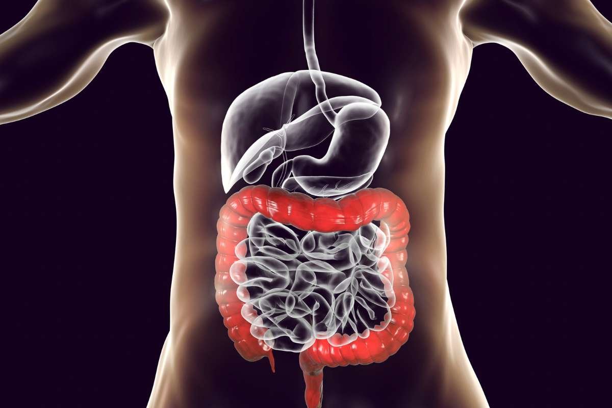 Alcohol's Effects on the Body: Liquior Is Turning Against Your Body | Healthcare 360 Magazine