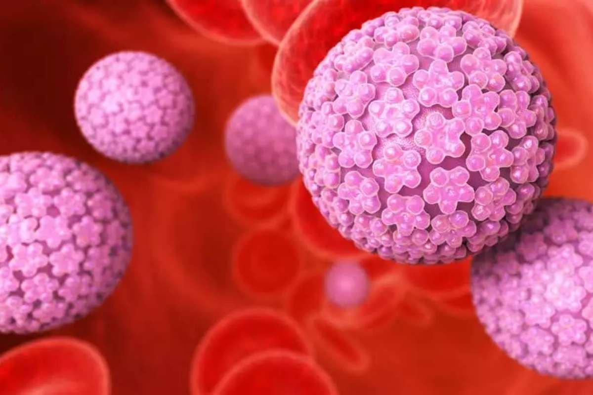 HPV Still a Risk for Women Over 65, Study Suggests Expanded Cervical Screening