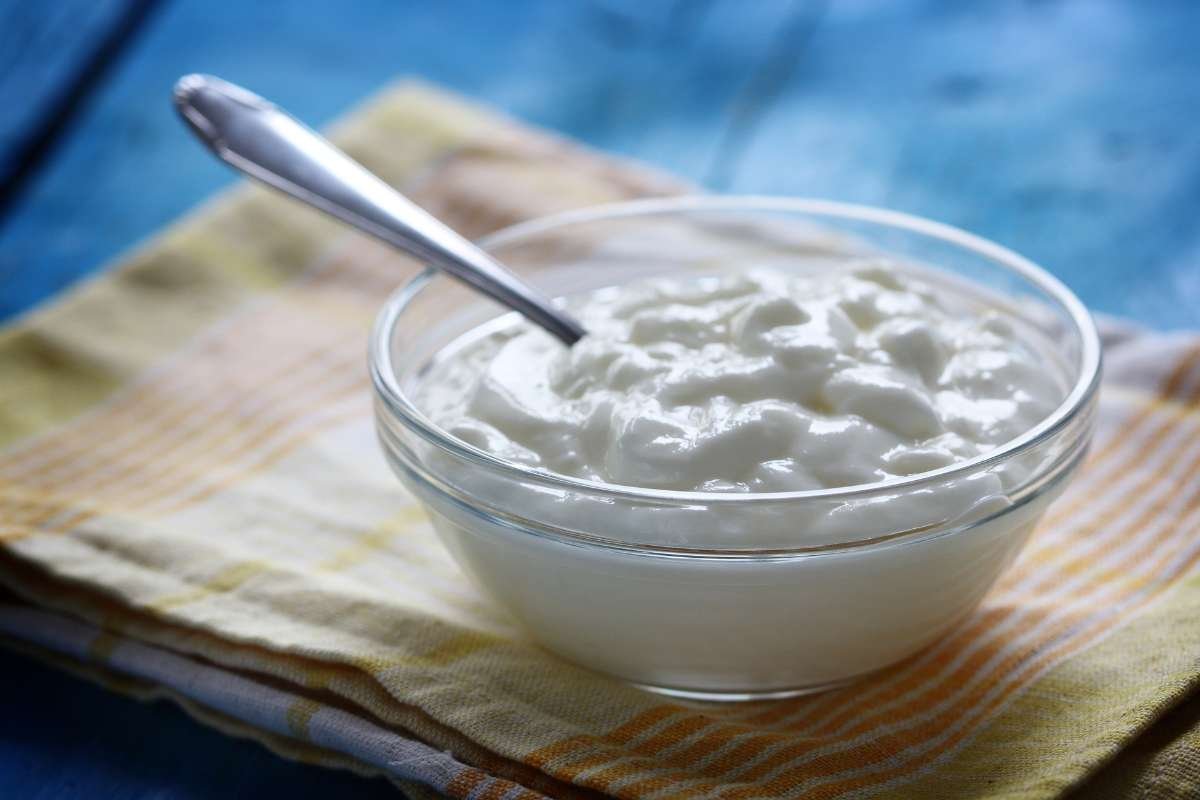 Eating Fermented Foods for Gut Health Might the Missing Link | Healthcare 360 Magazine
