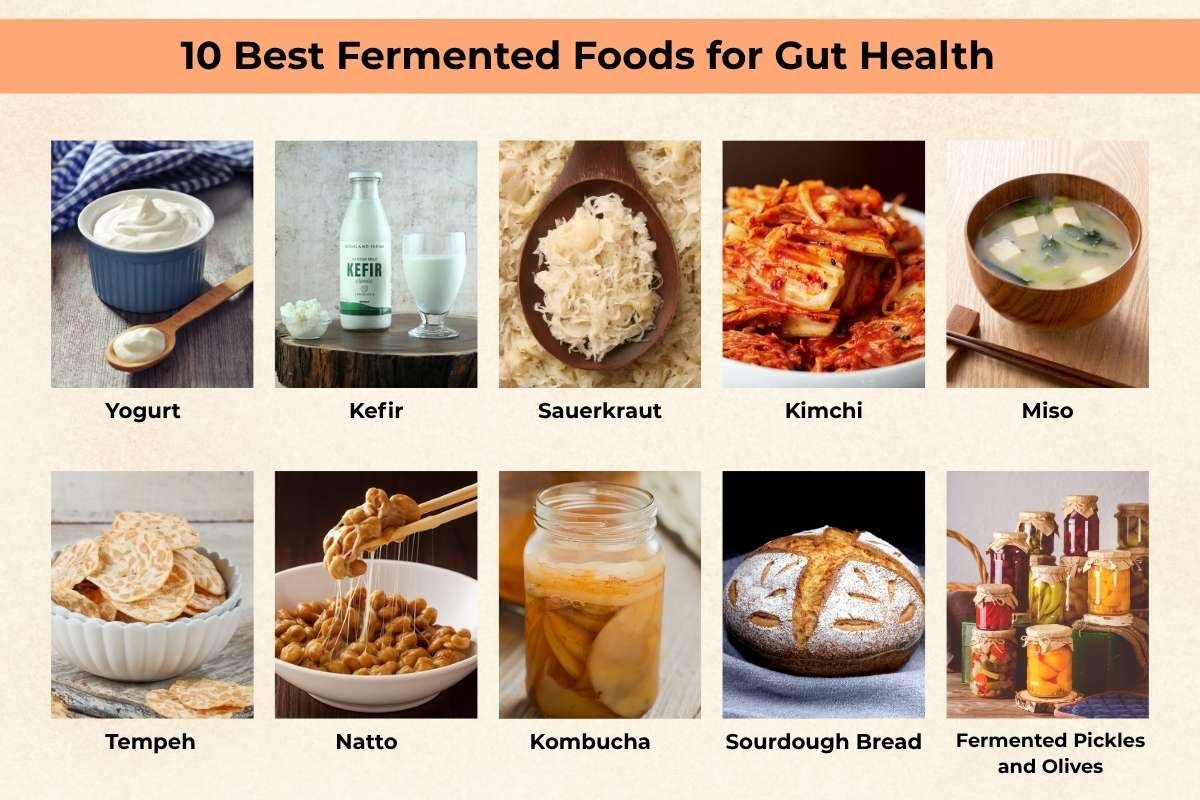 Fermented foods for gut health support a balanced microbiome, reduce inflammation, and help your body feel lighter and more energized. Read for more information