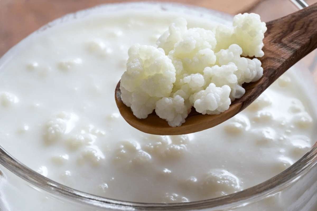 Fermented foods for gut health support a balanced microbiome, reduce inflammation, and help your body feel lighter and more energized. Read for more information