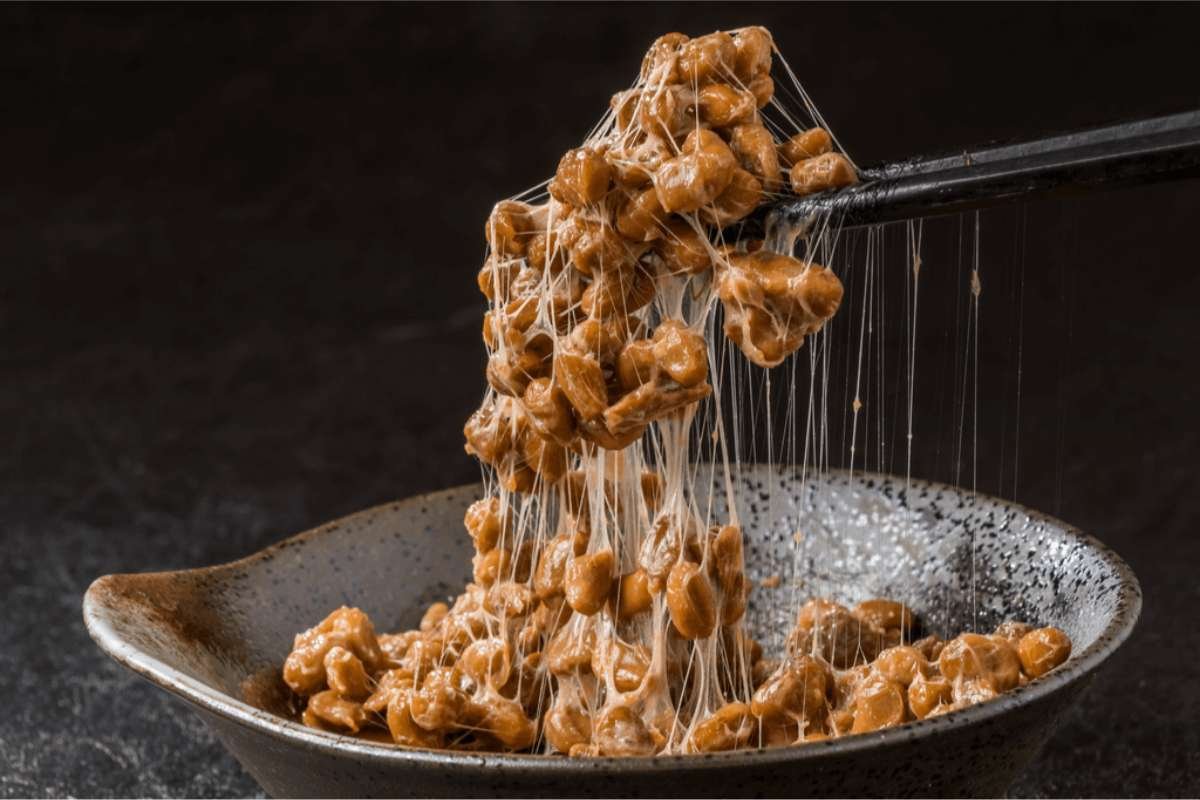 Eating Fermented Foods for Gut Health Might the Missing Link | Healthcare 360 Magazine