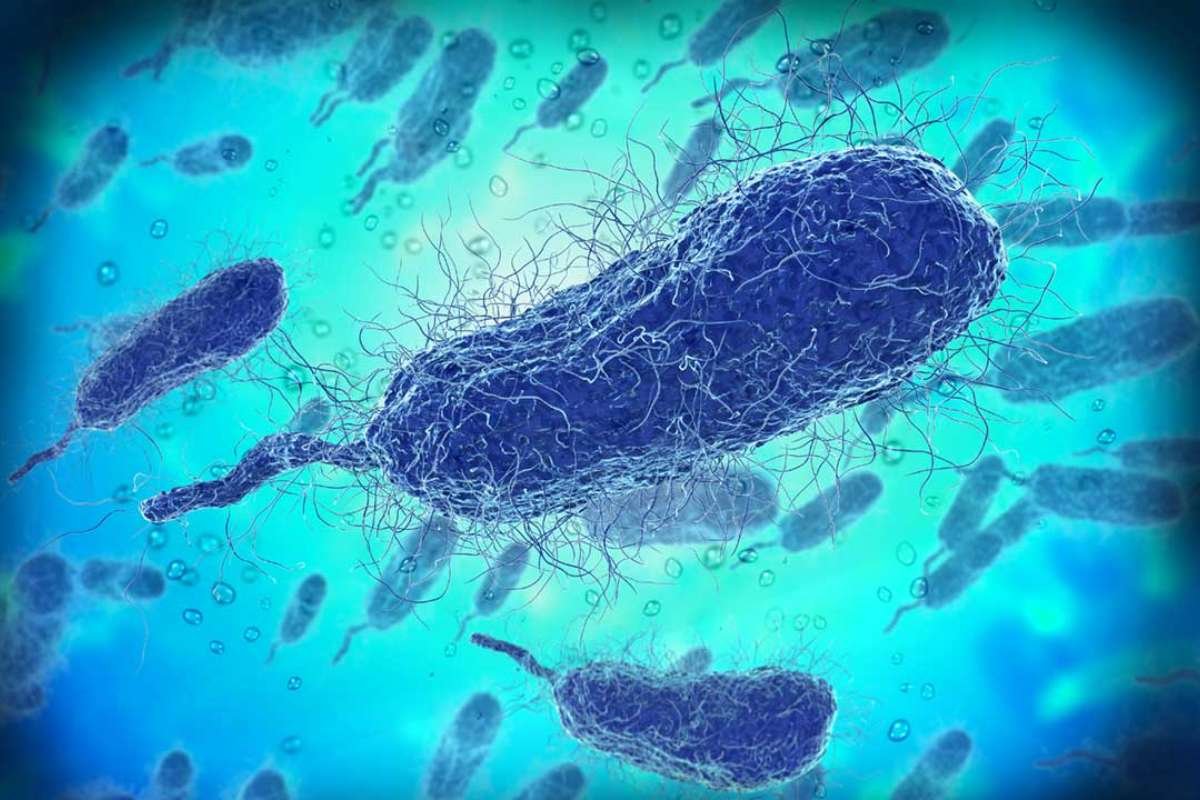 Rising Ocean Temperatures Increase Threat of Flesh-Eating Bacteria