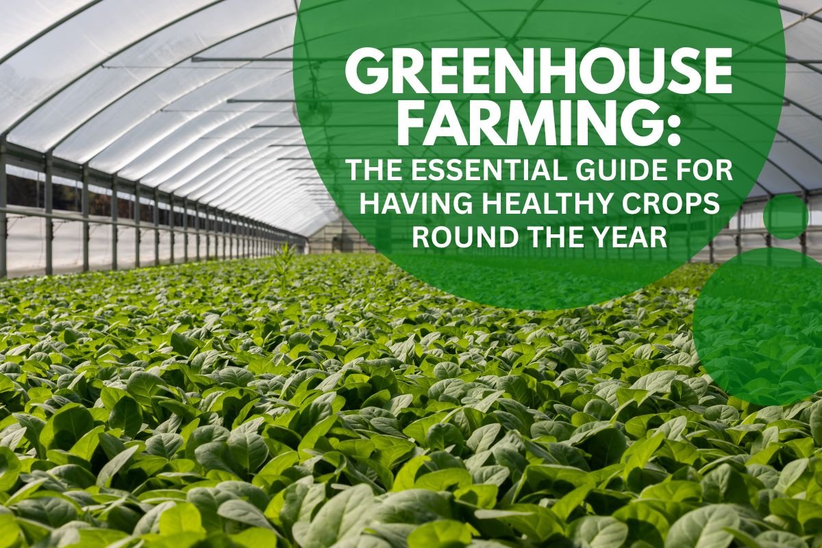 Go Green Warehouses: Revolutionizing Agri Warehousing Solutions with Visionary Leadership of Santosh Kumar Sahu for a Better Future
