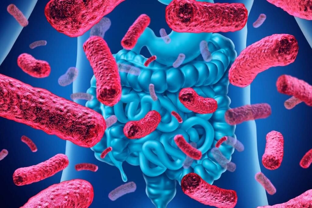 Boost Immunity With These 10 Good Bacteria for Stomach | Healthcare 360 Magazine