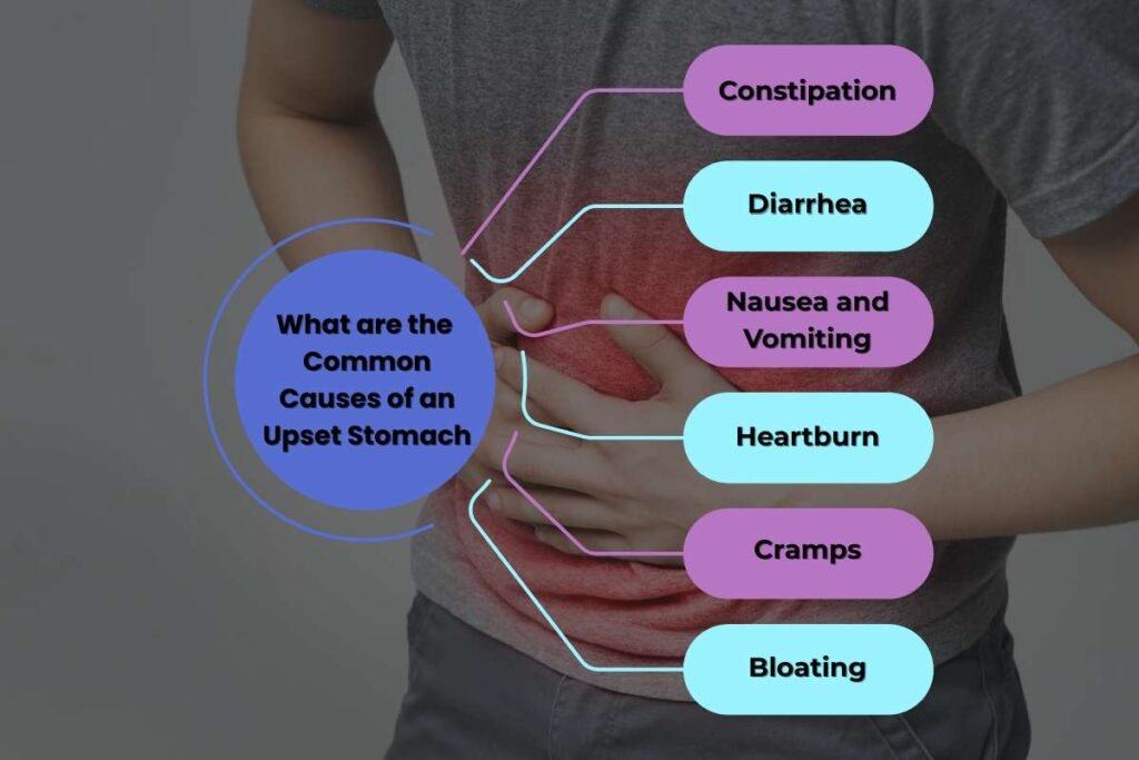 Diet for Upset Stomach: Soothe Discomfort with the Right Foods | Healthcare 360 Magazine