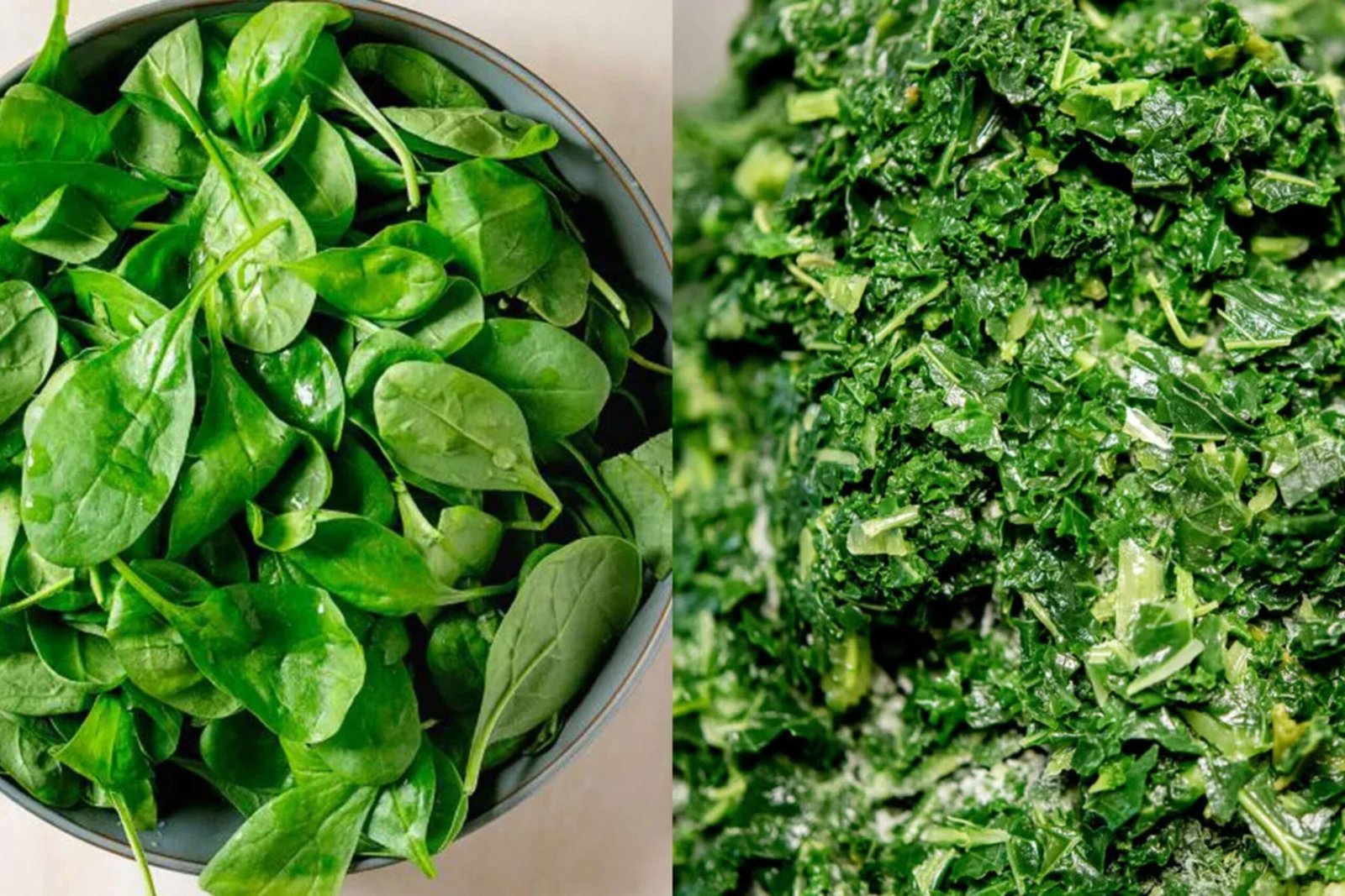 How the MIND Diet can Transform Your Brain Health ? | Healthcare 360 Magazine