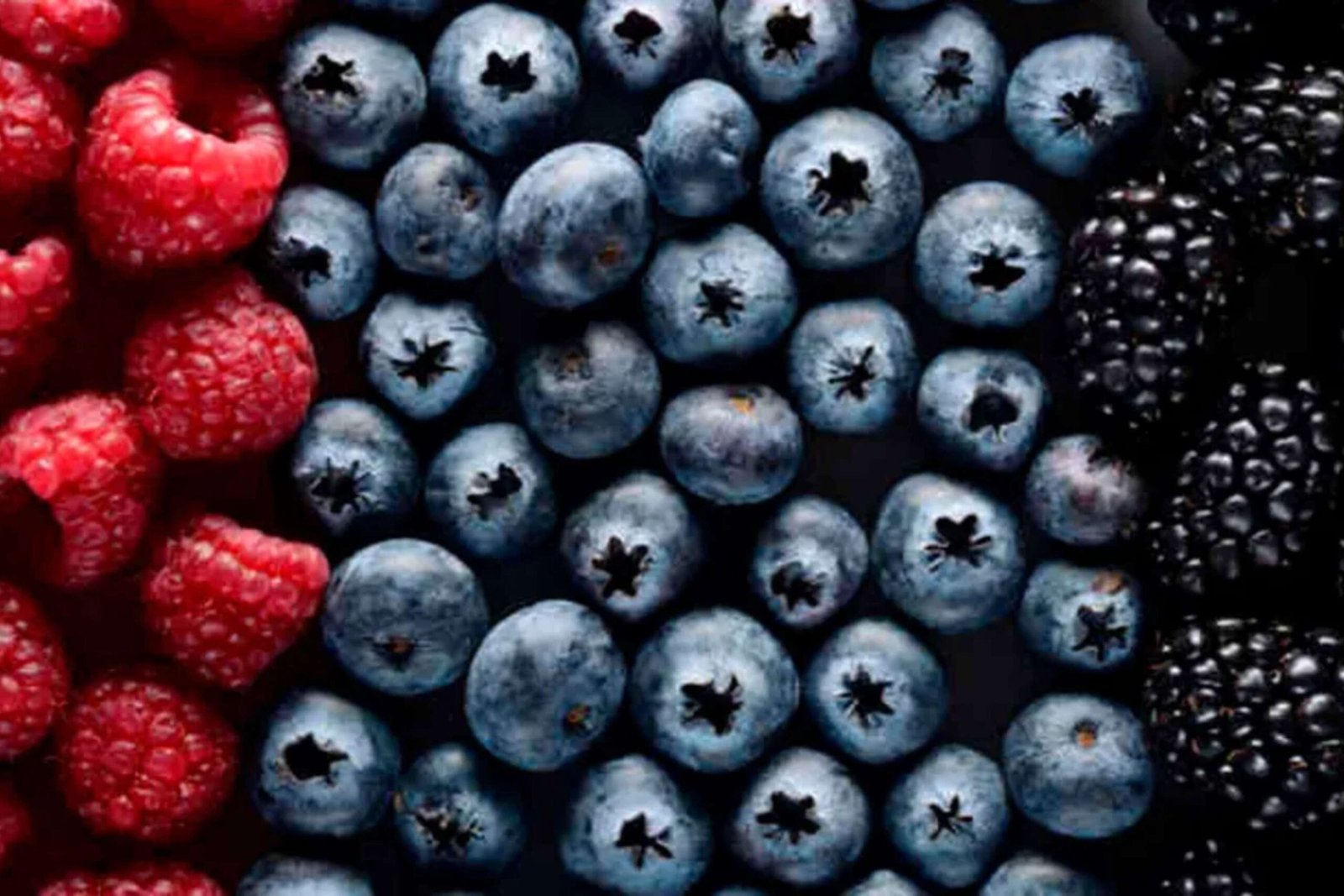 How the MIND Diet can Transform Your Brain Health ? | Healthcare 360 Magazine
