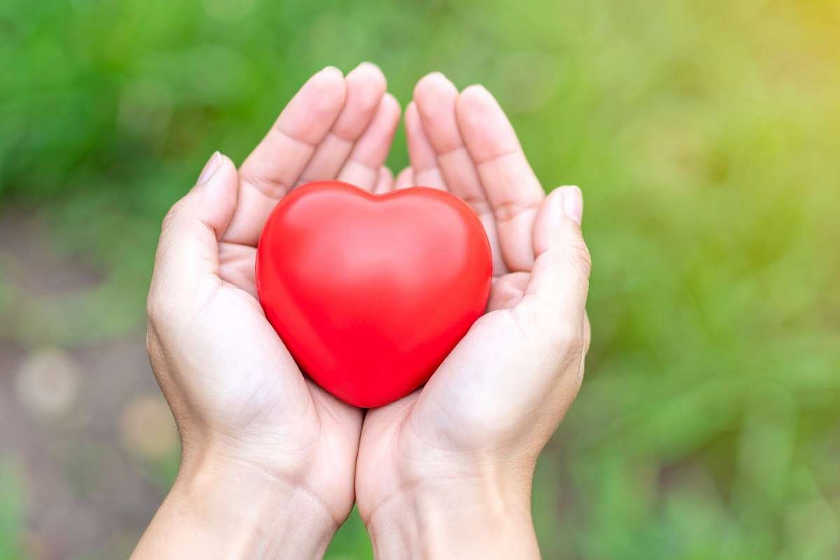 Tired of Dieting & Failing? Intermittent Fasting Plan Your Solution | Healthcare 360 Magazine