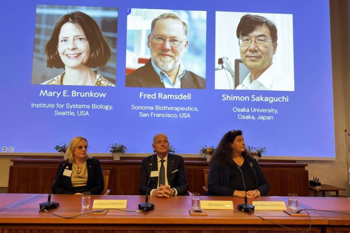 Three Scientists Win 2025 Nobel in Medicine for Immune System Discovery