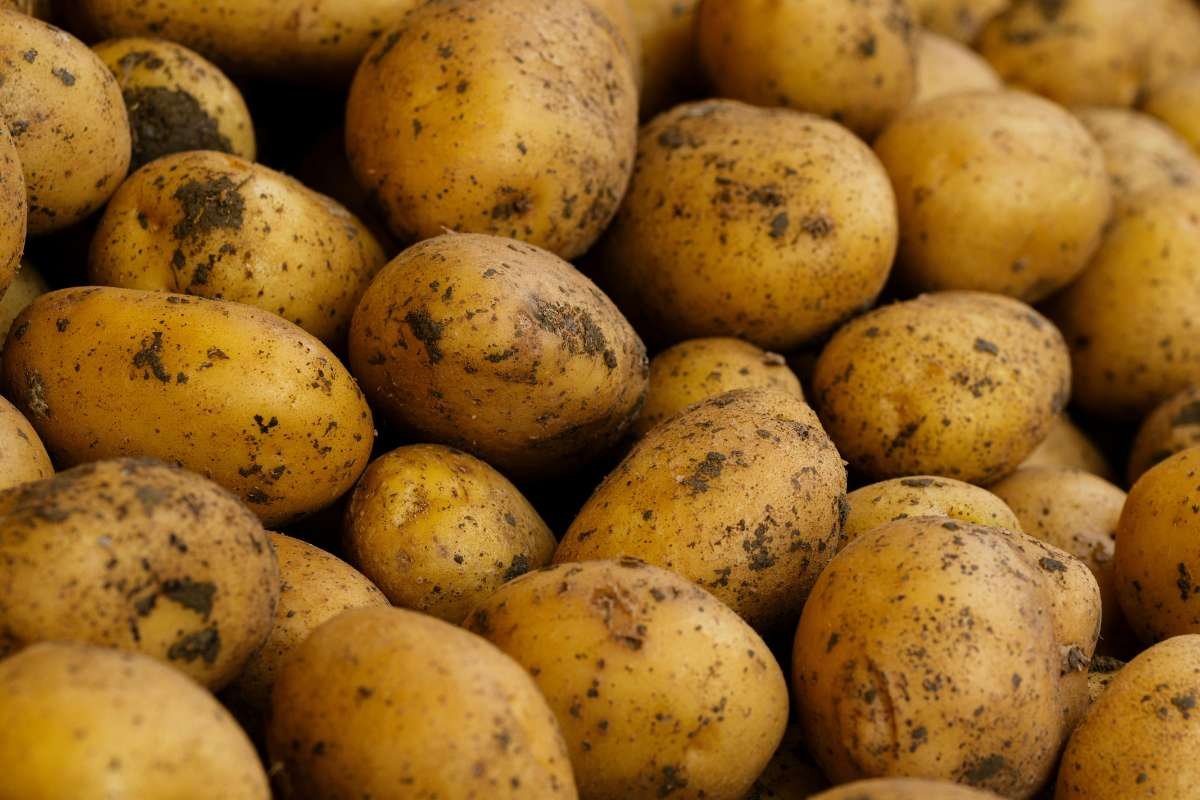 30 Fun Facts About Vegetables You’re Probably Ignoring (And Missing Out On Health Benefits) | Healthcare 360 Magazine