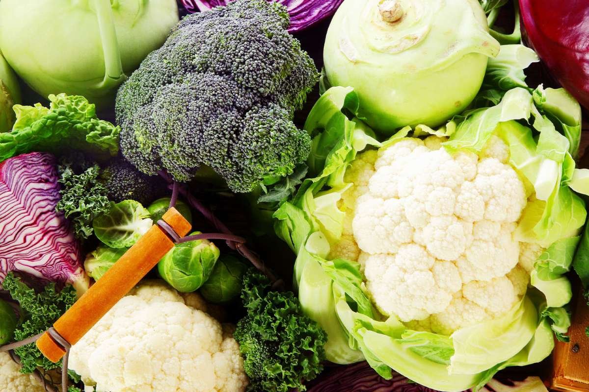30 Fun Facts About Vegetables You’re Probably Ignoring (And Missing Out On Health Benefits) | Healthcare 360 Magazine