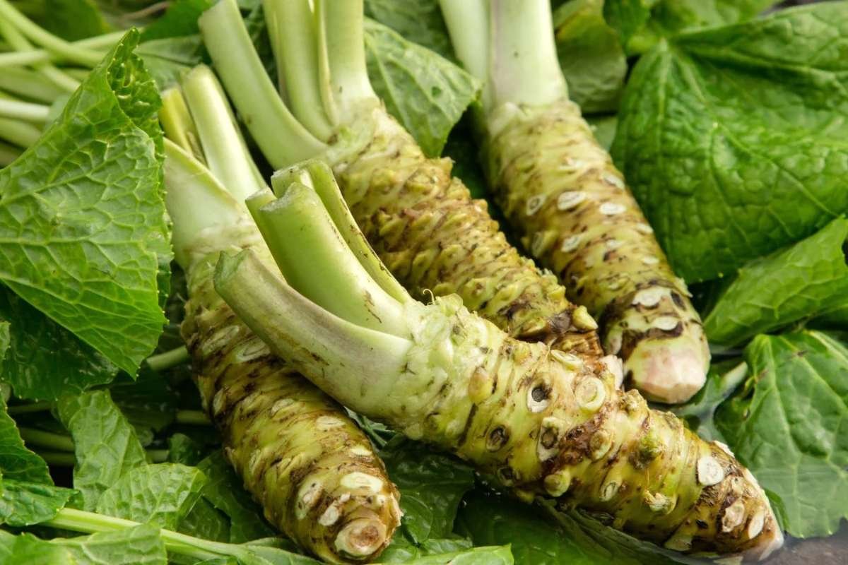 Why do these 11 Most Expensive Vegetables Cost so Much? The Story Behind Their Price Explained | Healthcare 360 Magazine