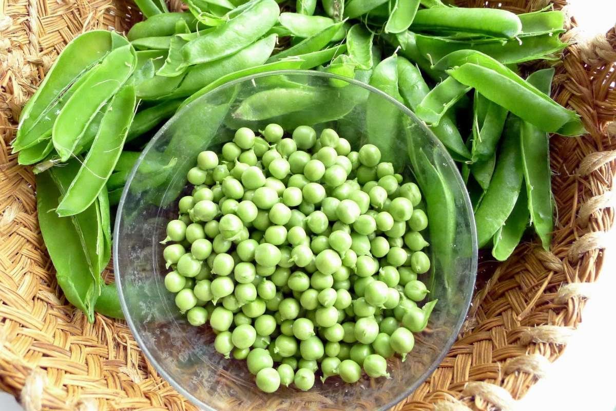 Why do these 11 Most Expensive Vegetables Cost so Much? The Story Behind Their Price Explained | Healthcare 360 Magazine