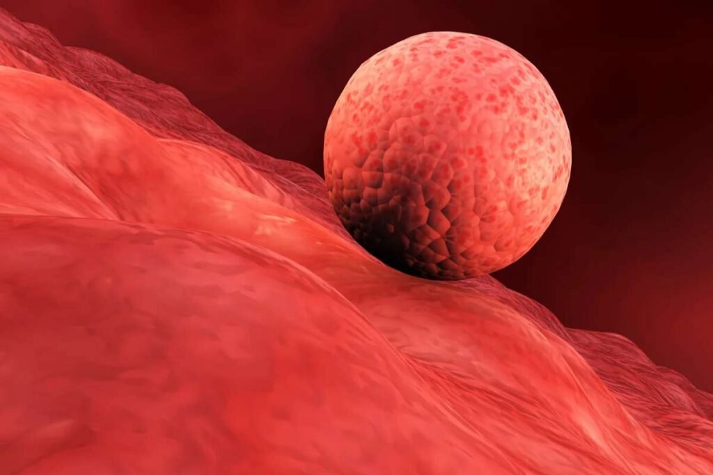 ( Source - theguardian.com )