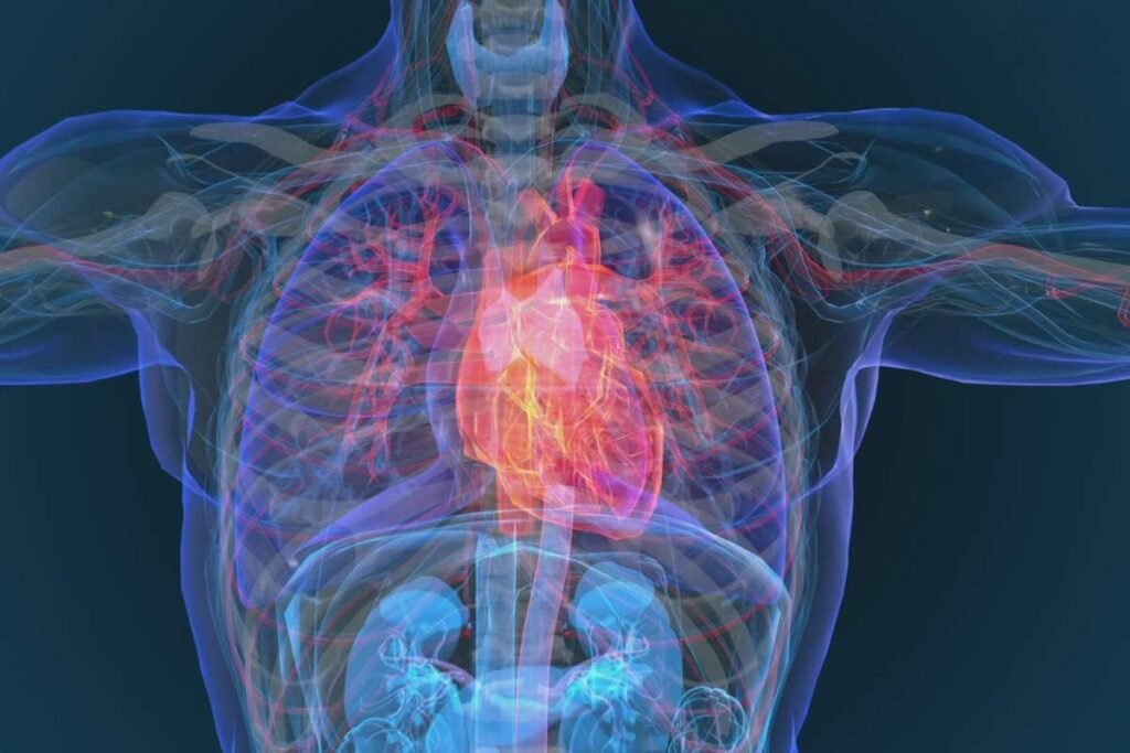 Study Finds Nearly All Heart Attack, Stroke Survivors Share Four Key Risk Factors